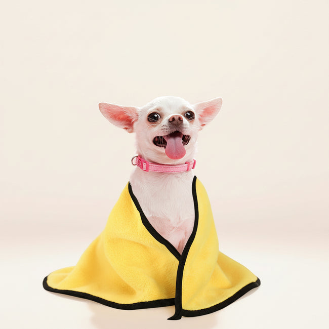 After Splash Pet Towel