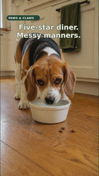Little Paws Bowl Mat