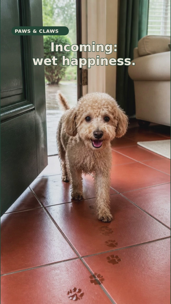 After Splash Pet Towel